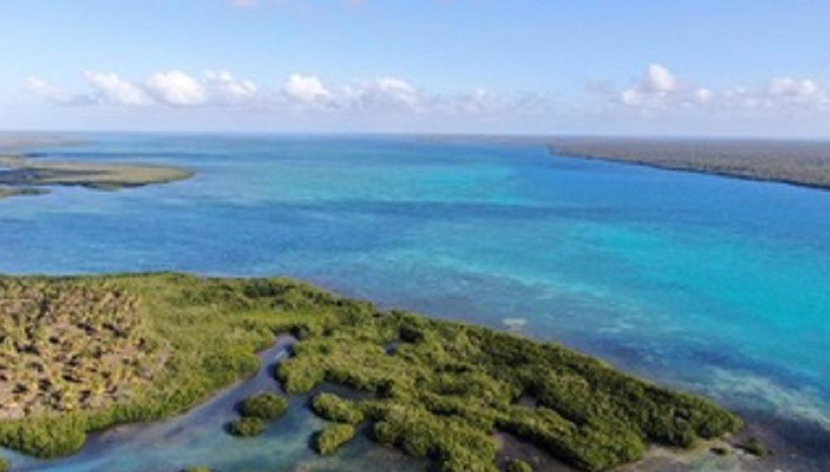 Alla scoperta di Turtle Island - Tour di un'intera giornata - Foto 2